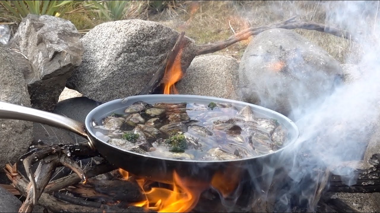 Deniz Kabukluları Hazırlanması ve Pişirilmesi