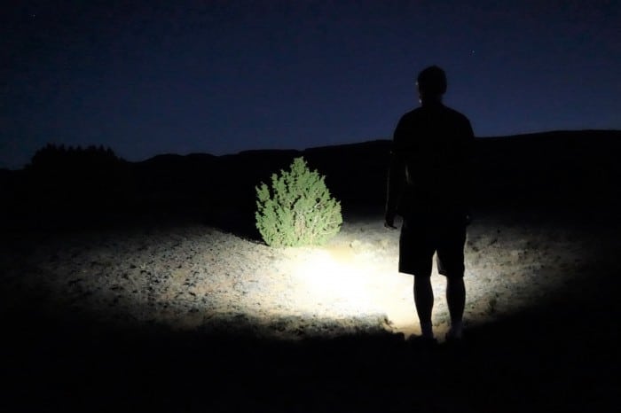 Disarida Sinyal Vermek