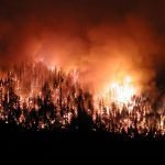 Doğada Orman Yangını İçinde Kalırsak Nasıl Kurtuluruz?