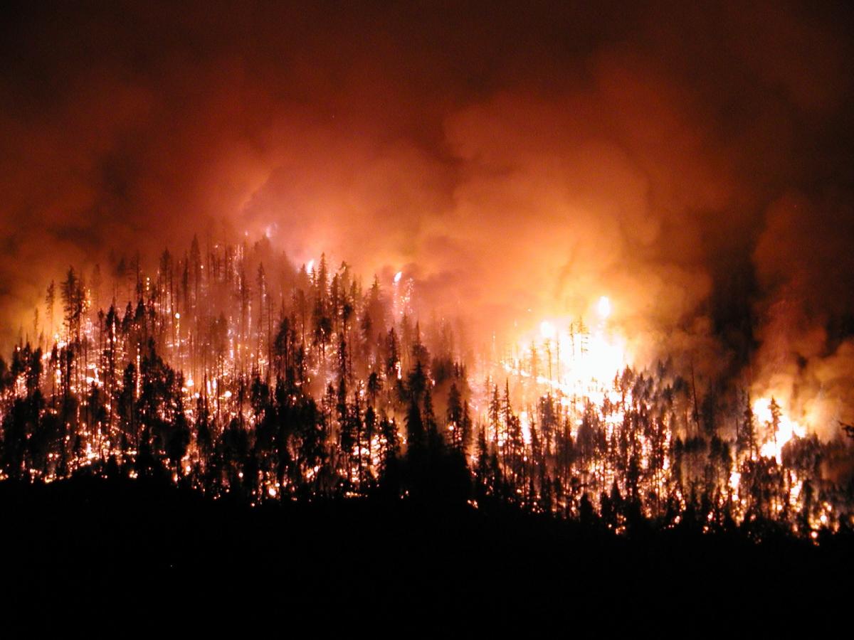 Doğada Orman Yangını İçinde Kalırsak Nasıl Kurtuluruz?