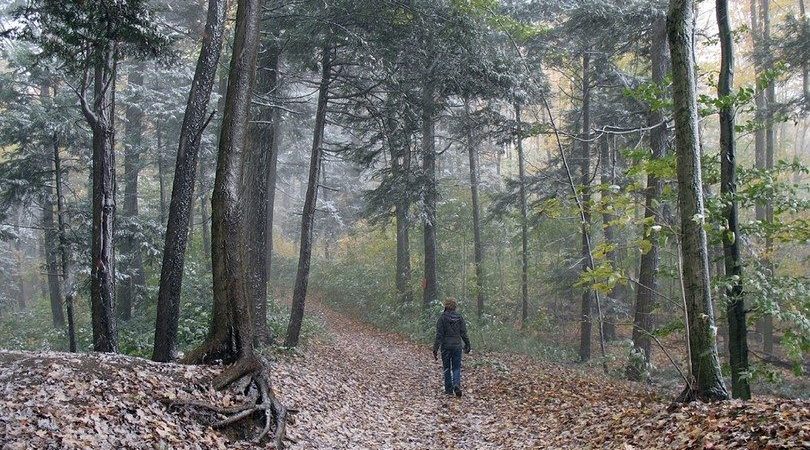 Malzeme Olmadan Vahsi Dogada Nasil Hayatta Kalinir