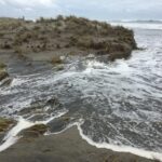 Kıyı Tehlikeleri: Maruz Kalma, Etkiler Ve Risk