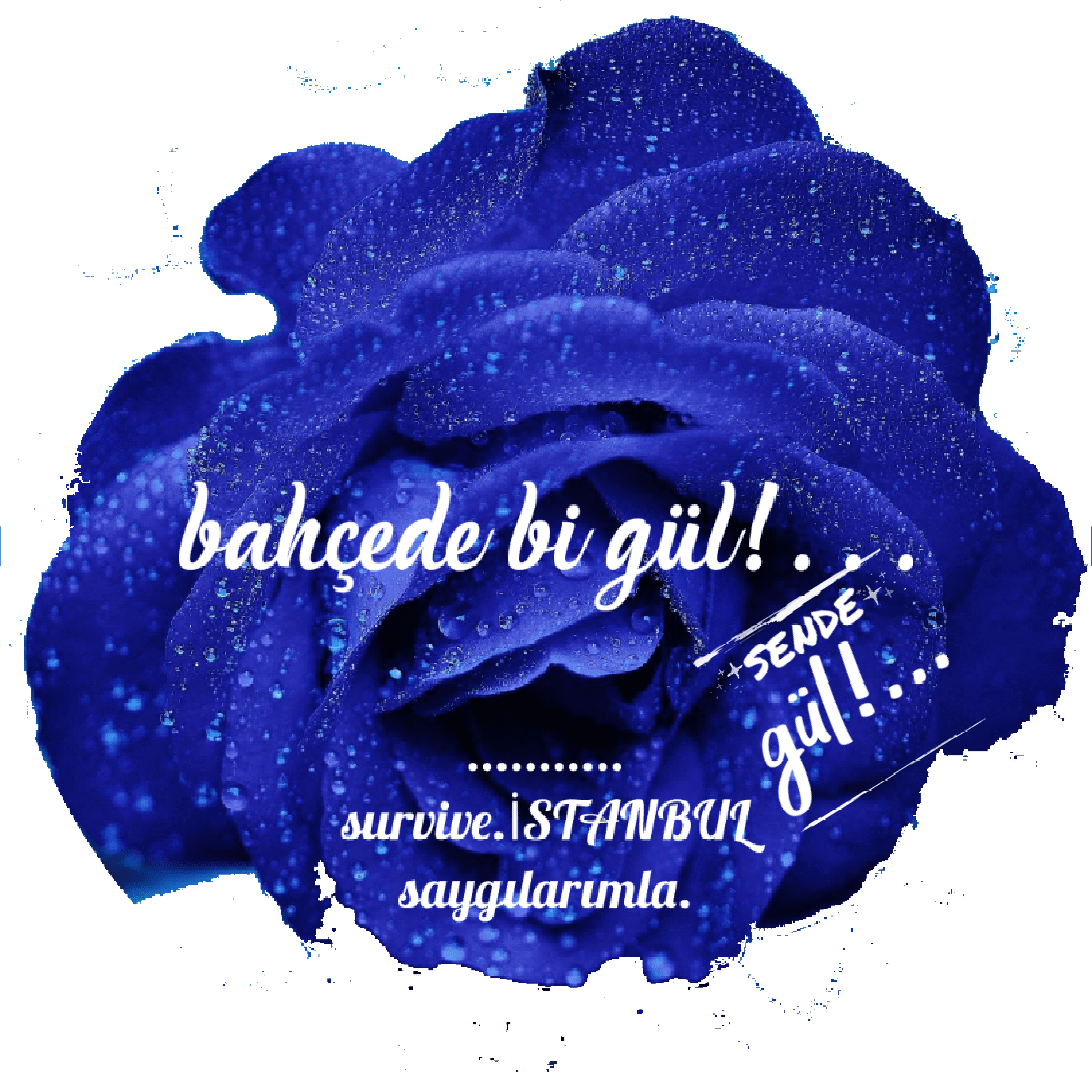 20220519193354 20220519193354