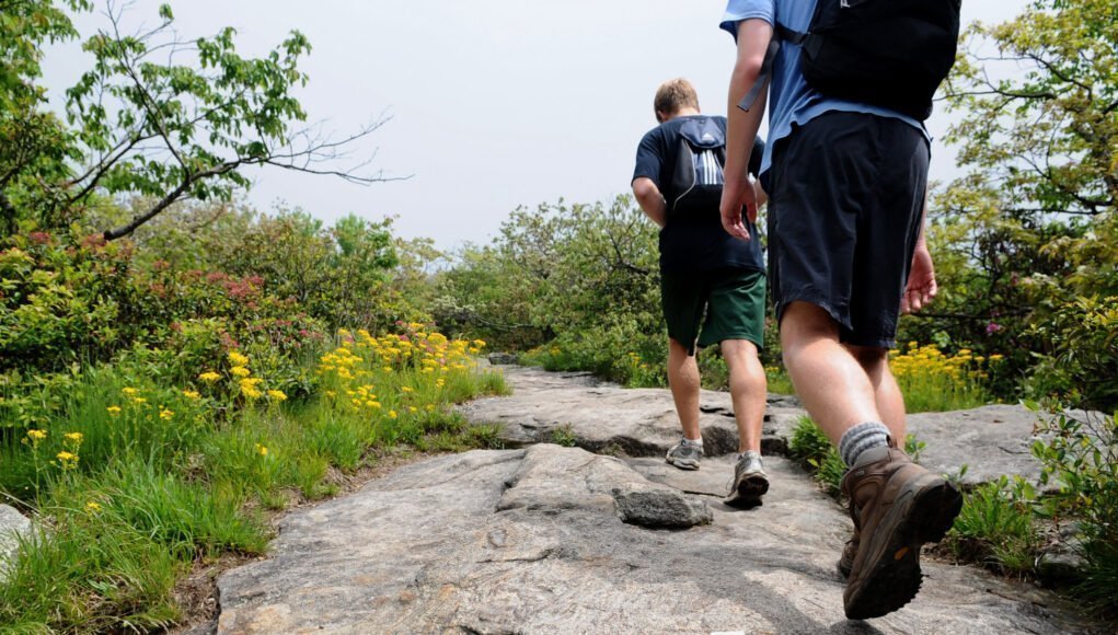 Yolculukta-Karsilasilabilecek-Beseri-Tehlikeler