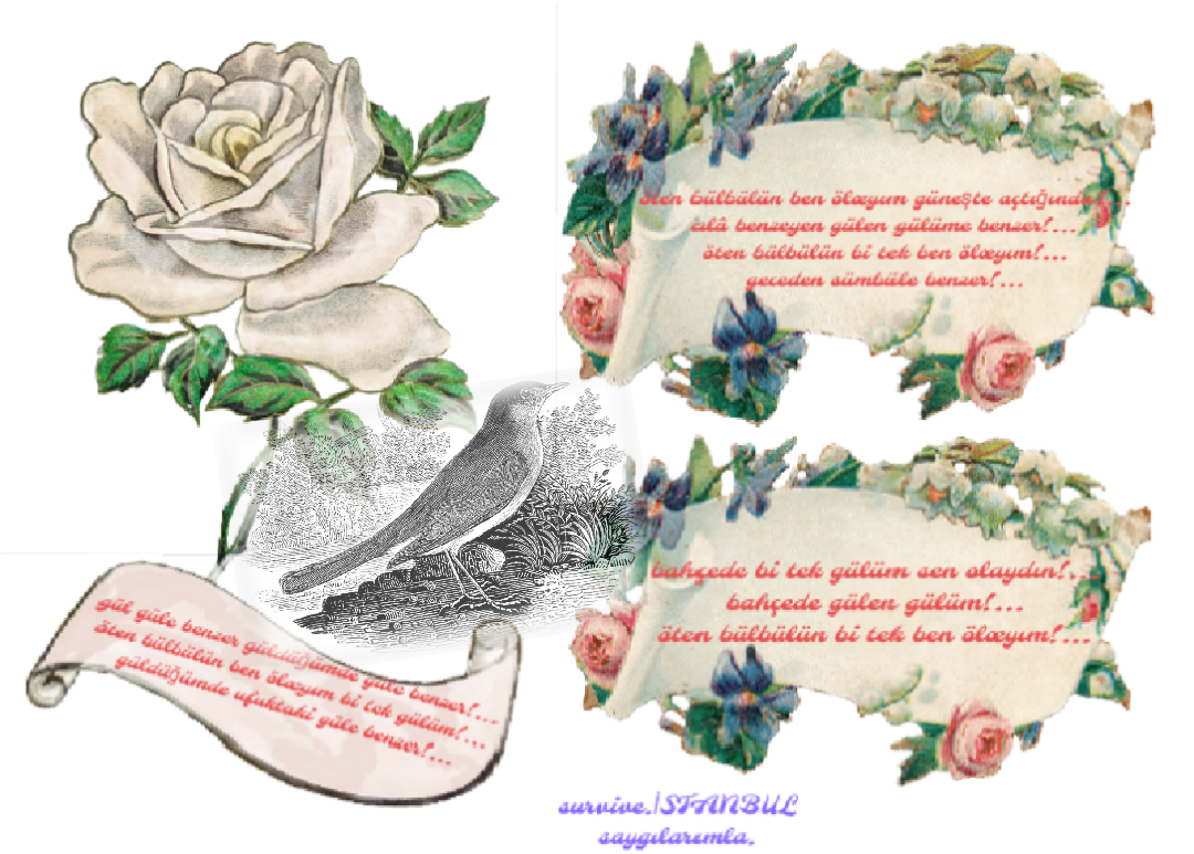 20230324_004109 20230324 004109