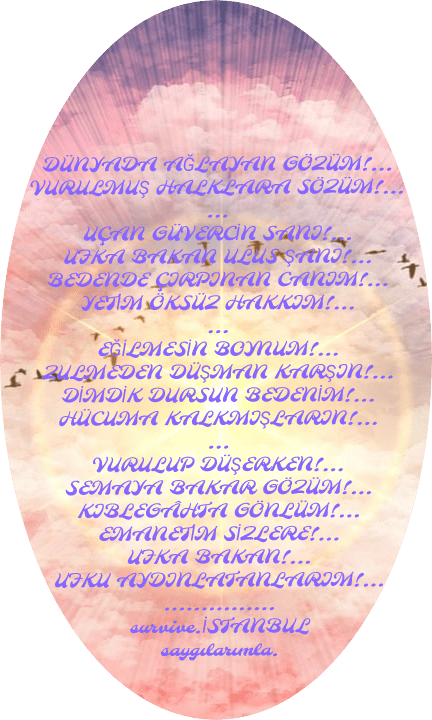 img_2023_03_21_14_49_37 img 2023 03 21 14 49 37