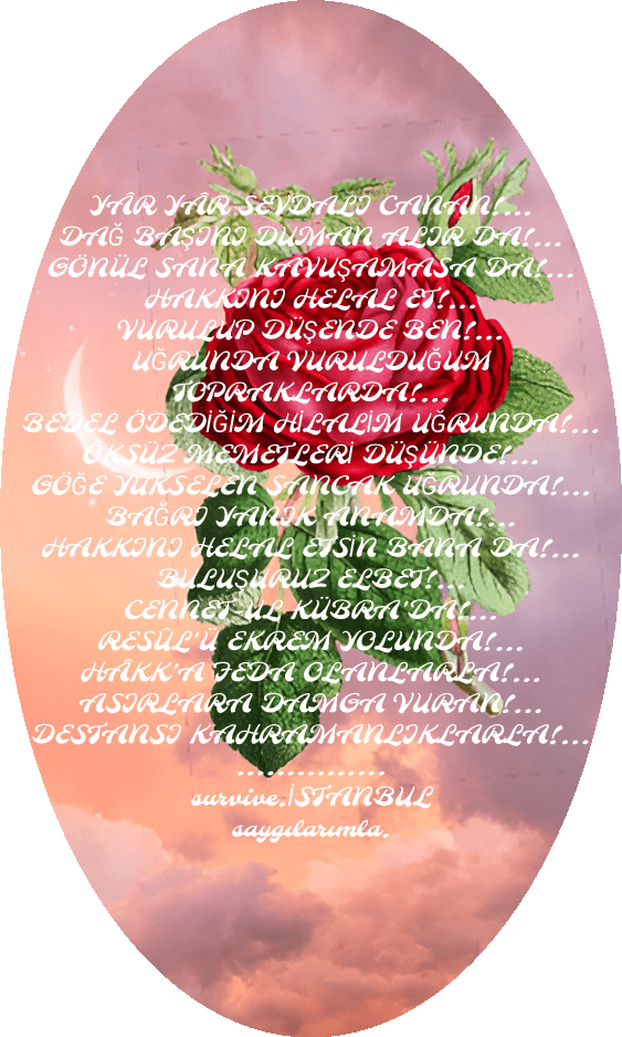 img_2023_08_15_02_09_21 img 2023 08 15 02 09 21