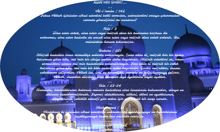 img_2023_04_12_15_49_14 img 2023 04 12 15 49 14