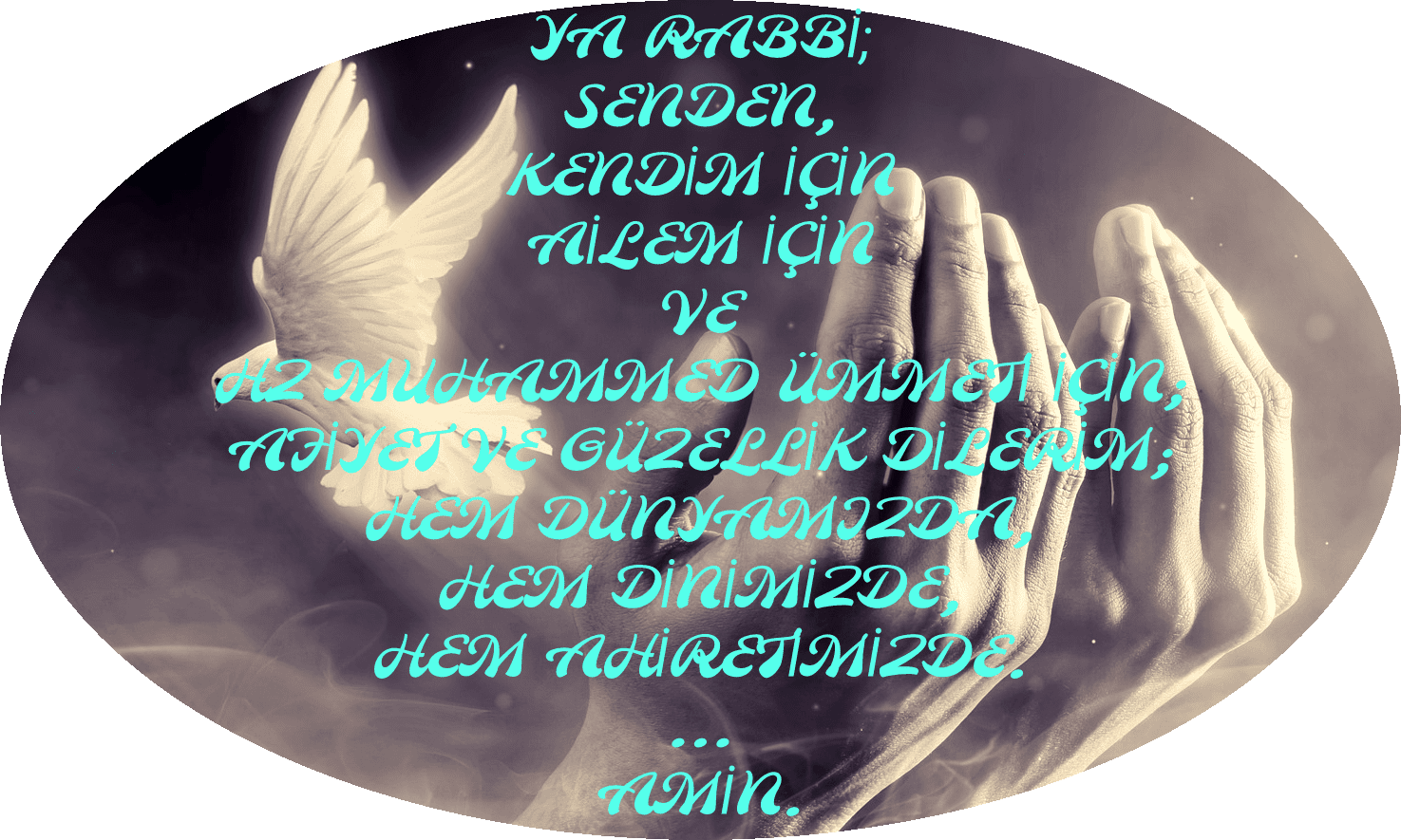 img_2023_09_15_23_14_35 img 2023 09 15 23 14 35