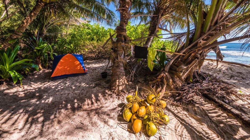Tropikal Bölgelerde Aşırı Hayatta Kalma 2 Tropikal Bolgelerde Asiri Hayatta Kalma