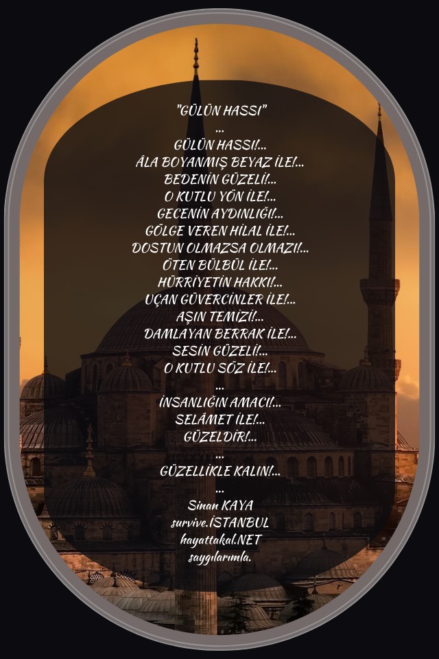 13-1 13 1