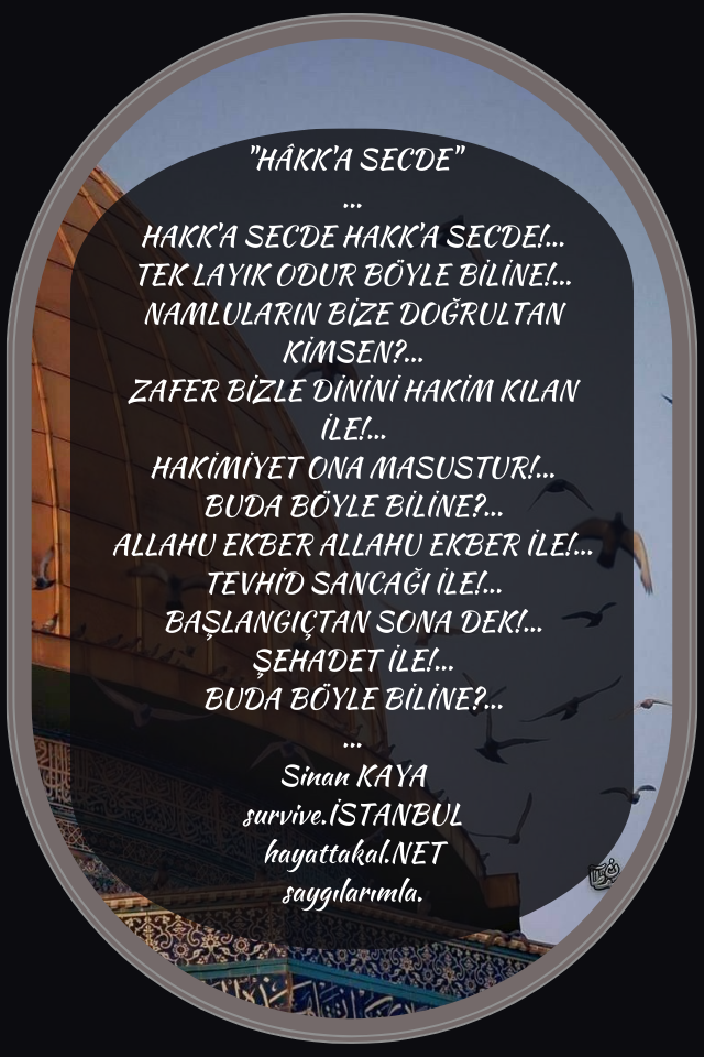 13 13
