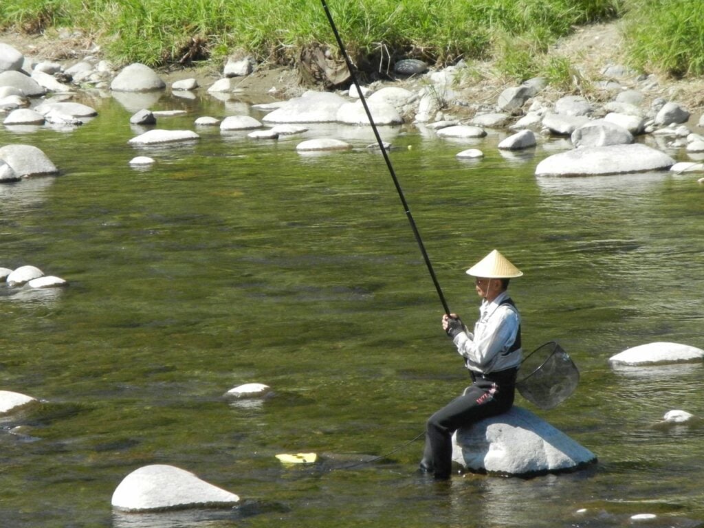 Japon Nehir Savaşçısı Gibi Balık