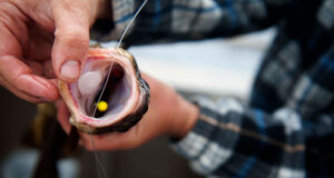 Baliktan-Kancayi-Cikarmanin-En-İyi-Yolu-Nedir