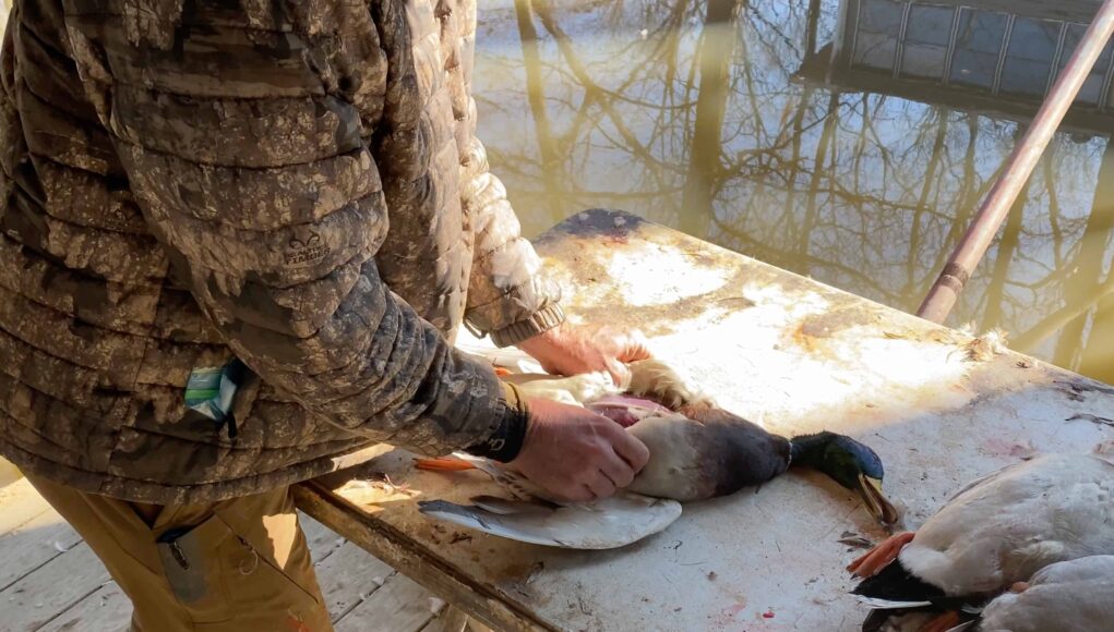 Bir-Ordegi-Ne-Kadar-Cabuk-Temizlemeniz-Gerekir
