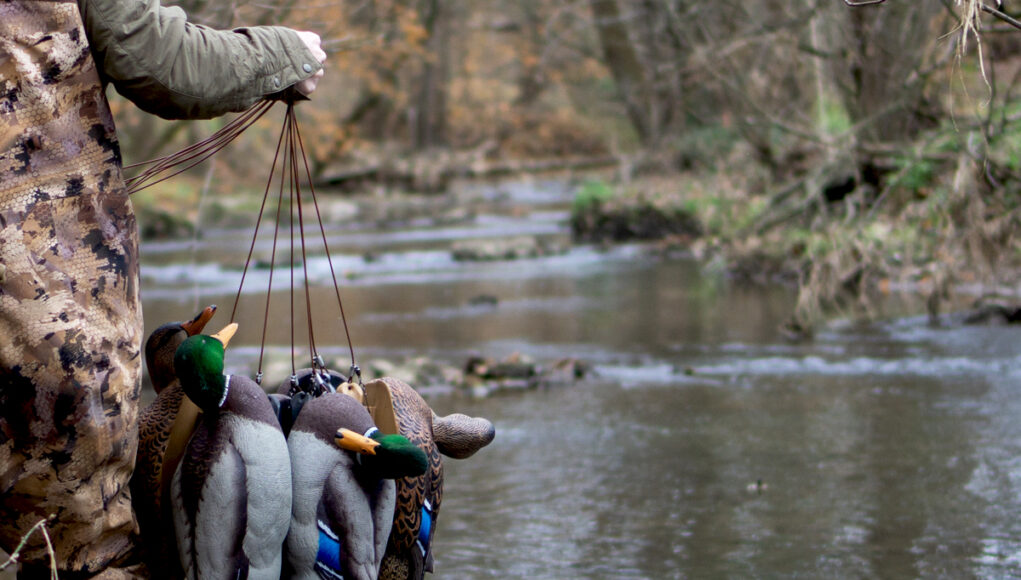 Ordegi-Temizlemeden-Once-Ne-Kadar-Asilmasi-Gerekir