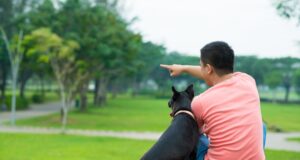 Bir Köpeğe İşaret Etmeyi Anlamayı Öğretebilir misiniz? Bir Köpeğe İşaret Etmeyi Anlamayı Öğretebilir misiniz?