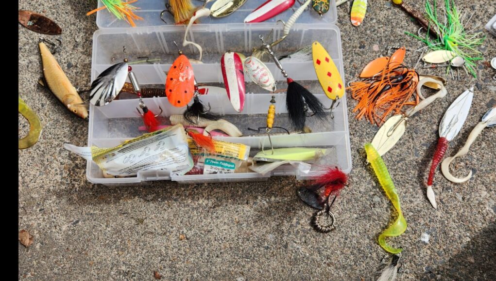 Baligi-Hangi-Yem-Ceker