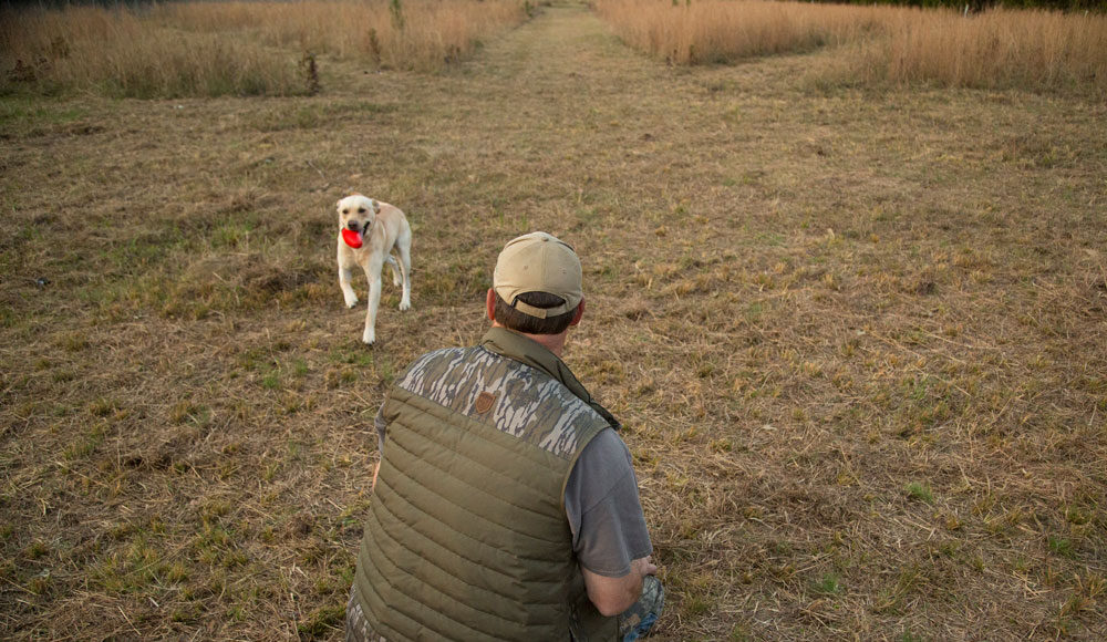 Bir-Av-Kopegi-Nasil-Koku-Egitimi-Alir