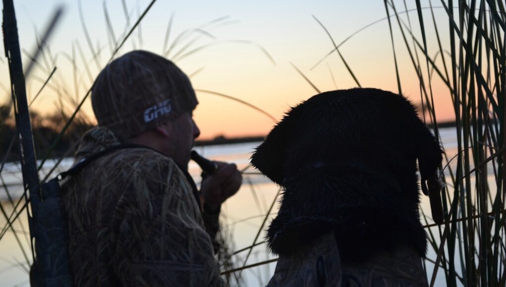 Ogrenmesi-En-Kolay-Ordek-Cagrisi