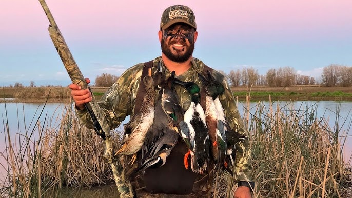 Orman Ordekleri Yemek icin Iyi mi