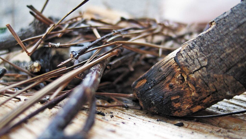 Ates-Sabani-icin-En-İyi-Odun-Hangisi