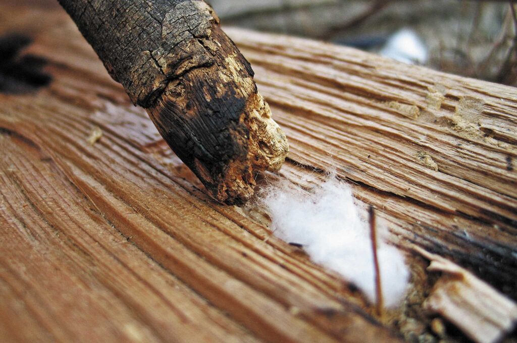 Ateş Sabanı için En İyi Odun Hangisidir? 1 Ateş Sabanı için En İyi Odun Hangisidir?