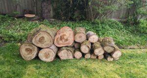 Odunları Yarmadan Önce Ne Kadar Bekletmeliyim? Odunlari-Yarmadan-Once-Ne-Kadar-Bekletmeliyim