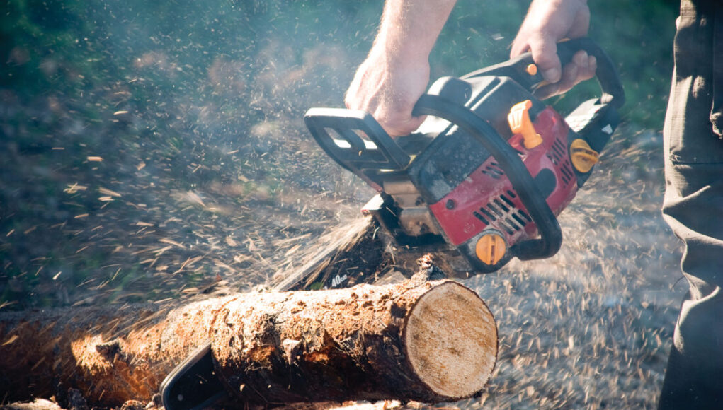 Kampta-Devrilen-Agaci-Zincirli-Testereyle-Temizleme