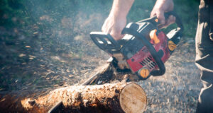 Kampta Devrilen Ağacı Zincirli Testereyle Temizleyin Kampta-Devrilen-Agaci-Zincirli-Testereyle-Temizleme
