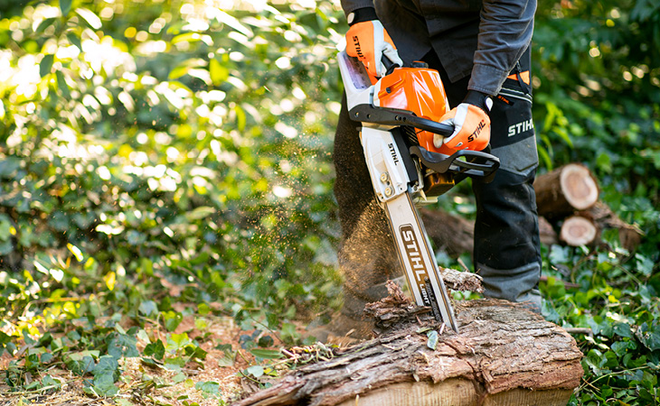Kampta Devrilen Ağacı Zincirli Testereyle Temizleyin 2 Kampta Devrilen Agaci Zincirli Testereyle Temizlemek