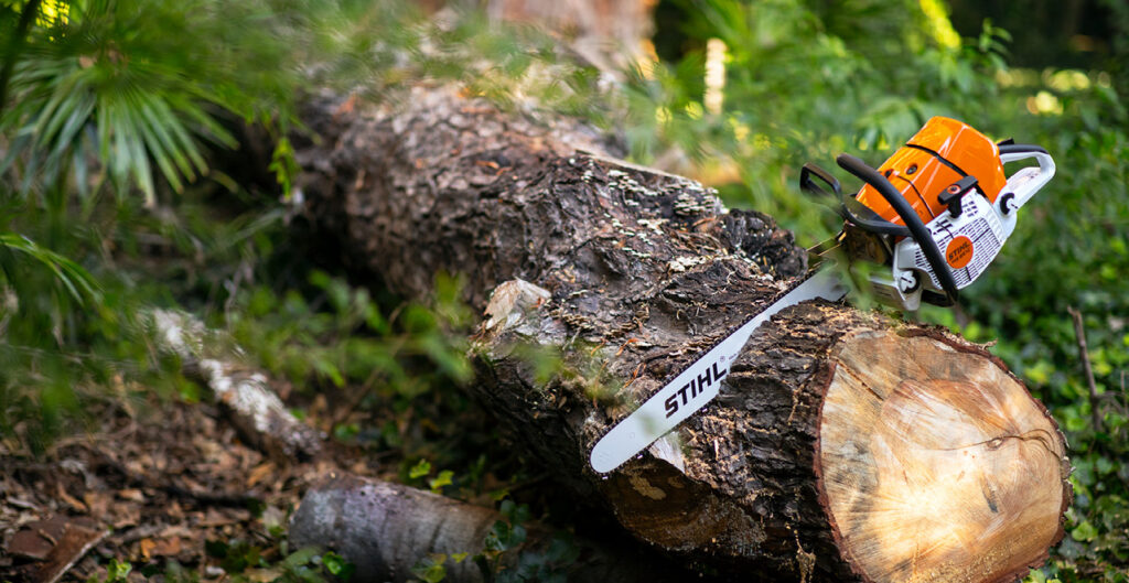 Kampta Devrilen Ağacı Zincirli Testereyle Temizleyin 1 Kampta Devrilen Ağacı Zincirli Testereyle Temizleyin