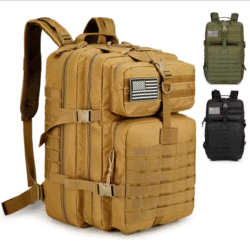 img_2025_07_31_15_07_51