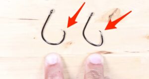 Balık Tutmak için Hangi Kanca Yasaklanmıştır? Balik-Tutmak-icin-Hangi-Kanca-Yasaklanmistir
