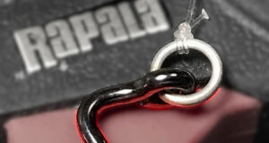 Palomar-Dugumleri-Neden-Basarisiz-Olur