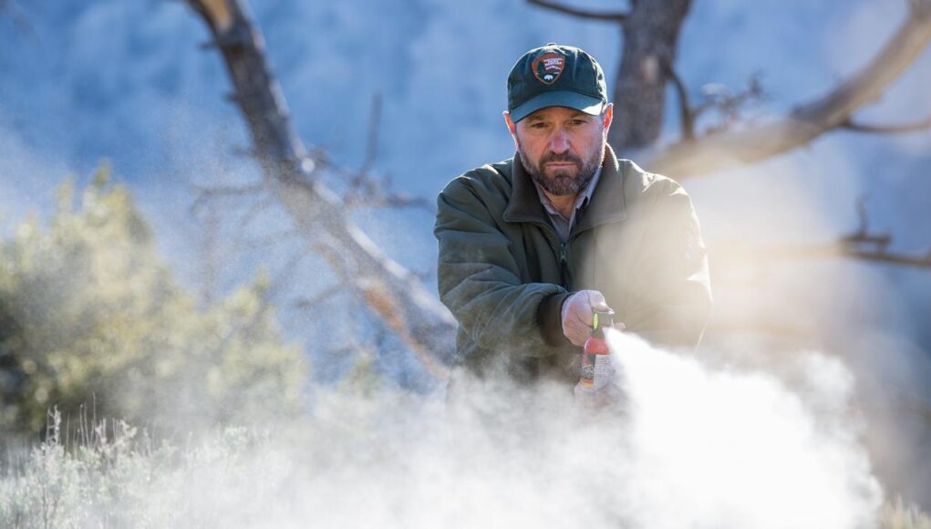 Ayi-Kovucu-Sprey-İse-Yarar-mi