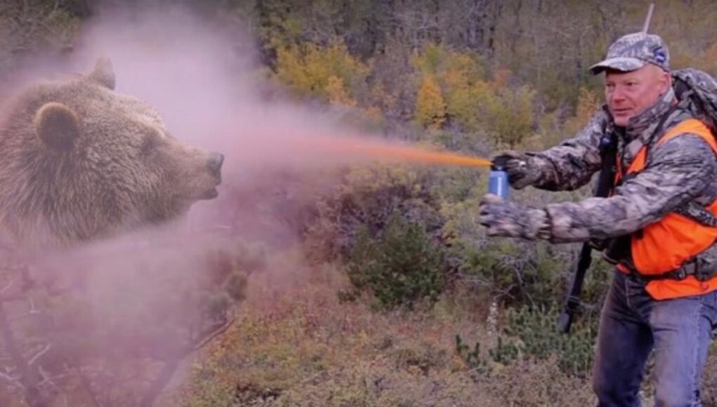 Sprey-Sikildiktan-Sonra-Ayi-Geri-Gelir-mi