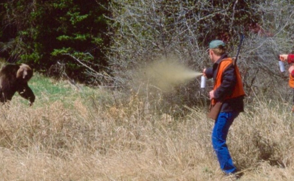 Sprey Sıkıldıktan Sonra Ayı Geri Gelir mi? 2 Sprey Sikildiktan Sonra Ayilar Geri Gelir mi
