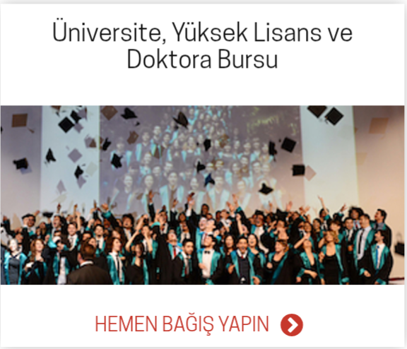 img 2026 03 10 22 11 36