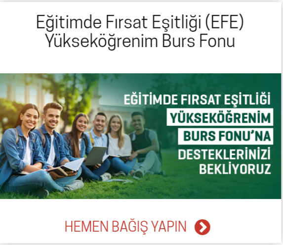 img 2026 03 10 22 12 42