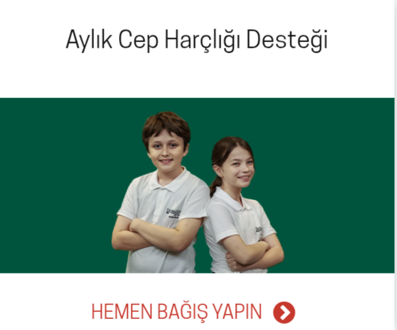 img 2026 03 10 22 17 52