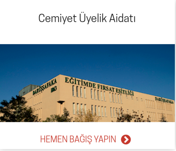 img 2026 03 10 22 19 45