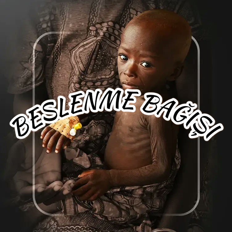 img 2026 03 10 23 35 47