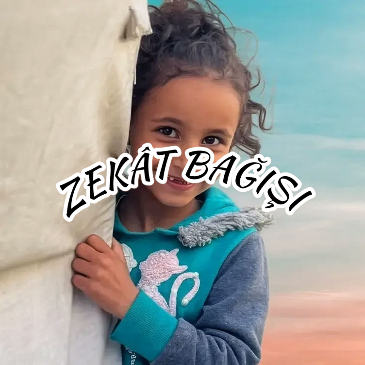 img 2026 03 10 23 36 12