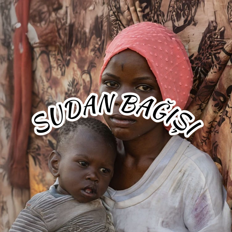 img 2026 03 10 23 37 28