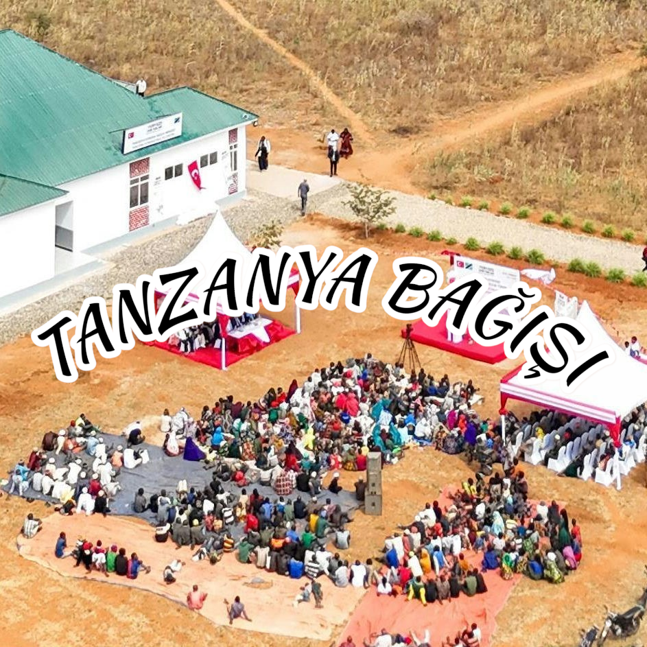 img 2026 03 10 23 37 42