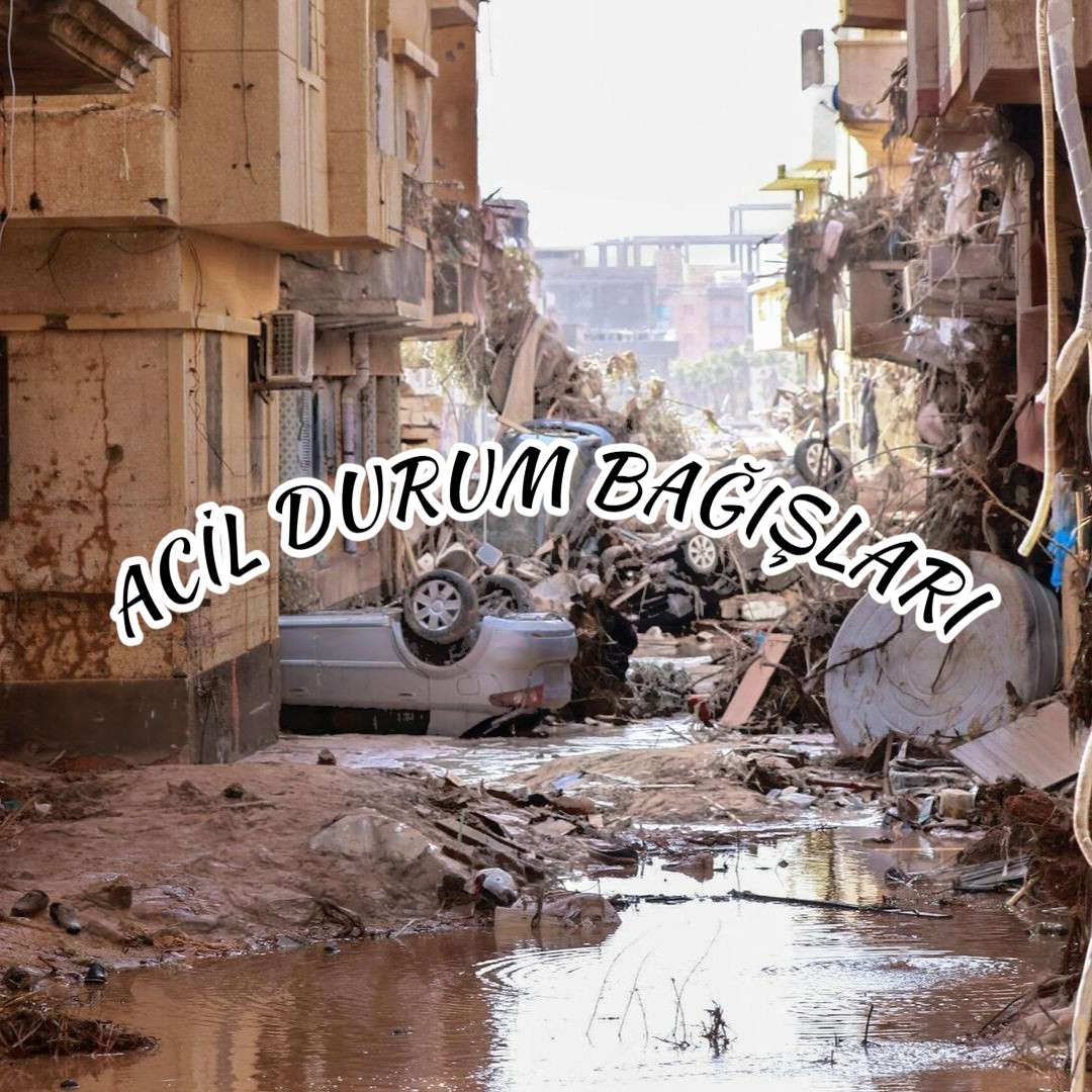 img 2026 03 10 23 38 57