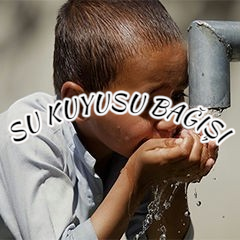 img 2026 03 10 23 39 21