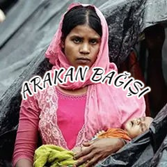 img 2026 03 10 23 39 48