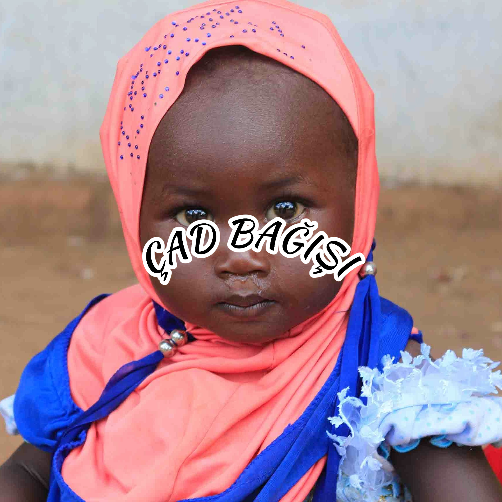 img 2026 03 10 23 40 03